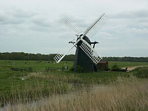 Herringfleet mill