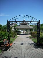 Julia Davis Rose Garden