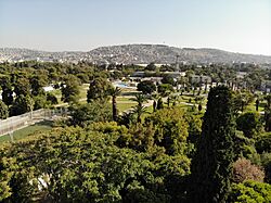 Kültürpark aerial view 02