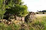 Kilspindie Castle, East Lothian - geograph.org.uk - 750741.jpg