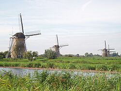 Kinderdijk 2