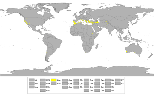 Koppen World Map Csa