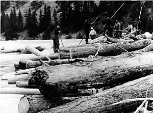 Log jam, Bonners Ferry Lumber Co, Kootenai Falls, Idaho, 1911 (INDOCC 406)