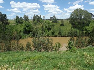 Logan River at Woodhill, Queensland
