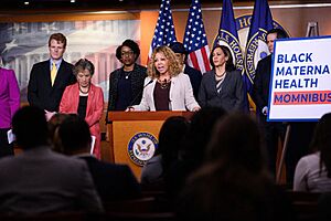 Lucy McBath Maternal Health