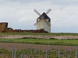 Madrigueras. Molino de viento