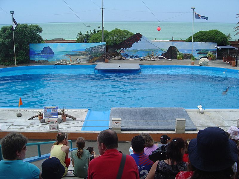 Main Tank Marineland