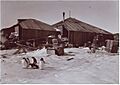 Mawson main base