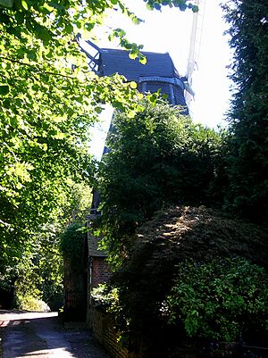 Meeten's mill