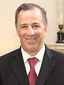 Mexican Foreign Minister (16295258100) (cropped)