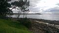 Narrawallee Beach