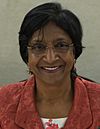 Navi Pillay June 2014.jpg