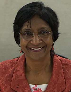 Navi Pillay June 2014.jpg
