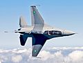 Pakistani F-16