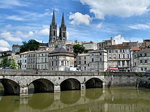 Niort from the Sèvre Nantaise river