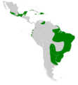Pardirallus maculatus map