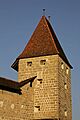 Picswiss VD-49-20