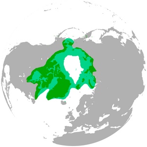 Polar bear range map.png