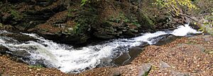 Ricketts Glen State Park Conestoga Falls 6