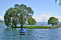 Saffa-Insel - Zürichsee in Zürich - Landiwiese 2015-05-06 14-26-41