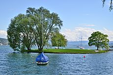 Saffa-Insel - Zürichsee in Zürich - Landiwiese 2015-05-06 14-26-41