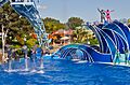 SeaWorld San Diego13