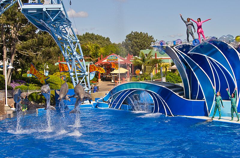 SeaWorld San Diego13
