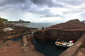 Seacliff Beach Harbour, North Berwick (Edited)