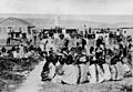 Shoshone indians