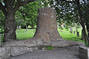 Stanhope Tree - geograph.org.uk - 2531669