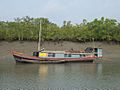 Sundarban police boat