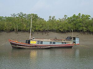Sundarban police boat