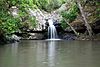 Sunshine Coast, Queensland - Kondalilla falls.jpg
