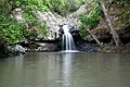 Sunshine Coast, Queensland - Kondalilla falls