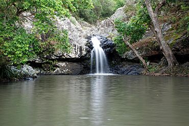 Sunshine Coast, Queensland - Kondalilla falls.jpg