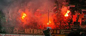 Supporters SK Rapid Wien