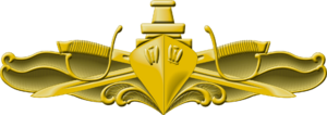 Surface Warfare Officer Insignia