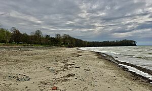 The Beach at Evangola State Park, New York - 20210505