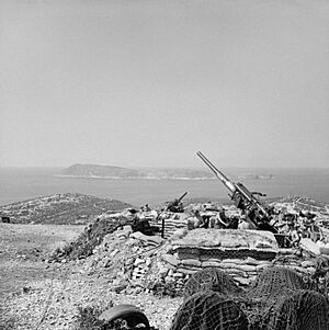 The British Army in the Adriatic 1944 NA18246