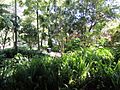 The Gardens at Bishops See (Bishop's House, Perth) 04 (E37@OpenHousePerth2014)