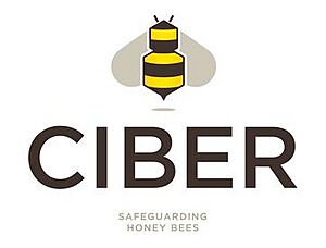 The logo of the Centre for Integrative Bee Research as used since 2010