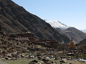 Tibet - Trek 2 - 03 Tsurpu Monastery (150294608)