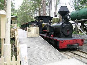Timbertown train