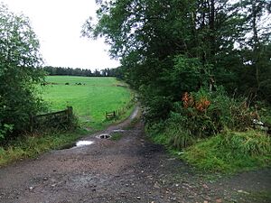 Track and field near East Hedleyhope - geograph.org.uk - 5526260