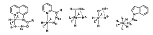 Unconventional hydrogen bonding in transition metal hydrides complexes