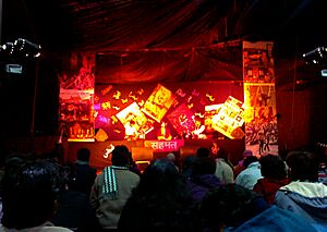 Vidya Shah Musician sahmat delhi ist january 2010