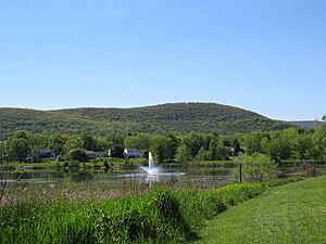 Village of Washingtonville Lake with Fountain