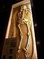 Welwyn Roman baths - skeleton