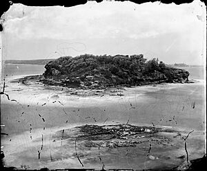 Wr Bare Island Syd 1873 SLNSW FL1252336