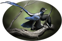 Wulong reconstruction.png